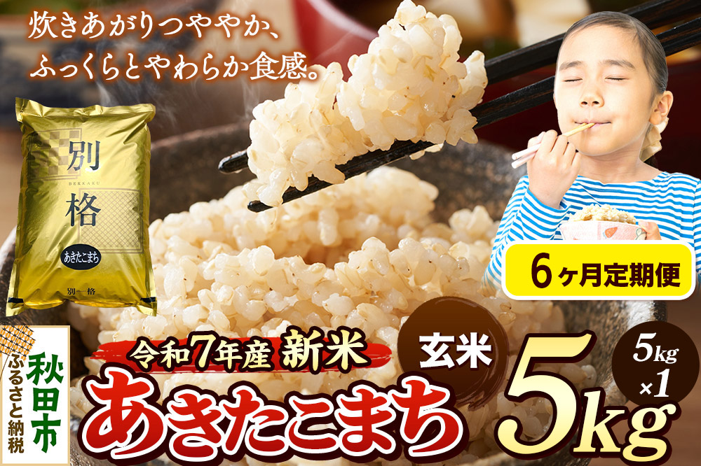 《令和7年産 新米》《定期便6ヶ月》 米 あきたこまち 5kg 【玄米】 秋田県産