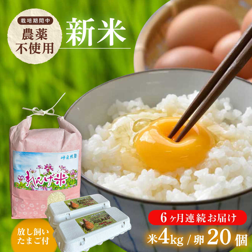 【ふるさと納税】【全6回定期便】令和7年度米4kg・放し飼いたまご20個セット ヒノヒカリれんげ米 元気たまご【浅田峠自然塾】[EA21]