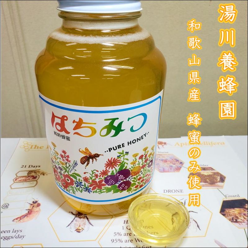 自然派 はちみつ梅干し（うす塩味）600g【0592-5】