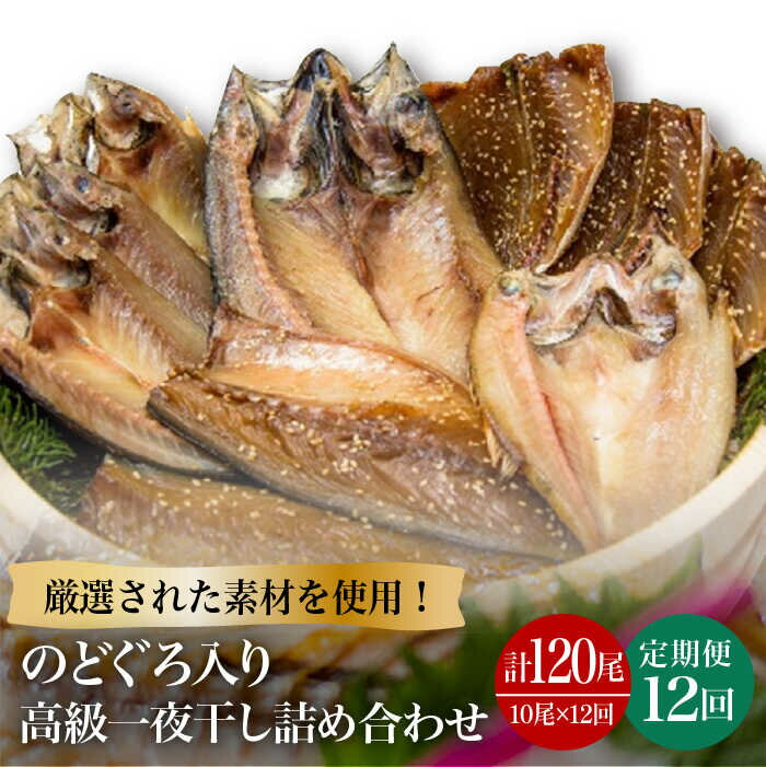 【ふるさと納税】【全12回定期便】のどぐろ・真アジ・真サバの一夜干し 1.1kg 10枚 愛情食彩/五島市 [PCH008] 干物 ひもの 乾物 セット 高級魚 あじ さば 一夜干し 詰め合わせ 朝食 おかず おつまみ 冷凍 定期 定期便
