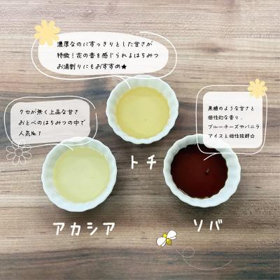 ふるさと納税 乙部町 <おとべのはちみつ アソートセット1個> |  | 01