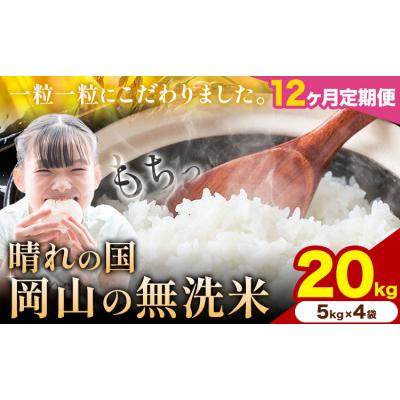 ふるさと納税 矢掛町 【12ヶ月定期便】晴れの国岡山の無洗米 20kg米《申し込み翌月から発送》