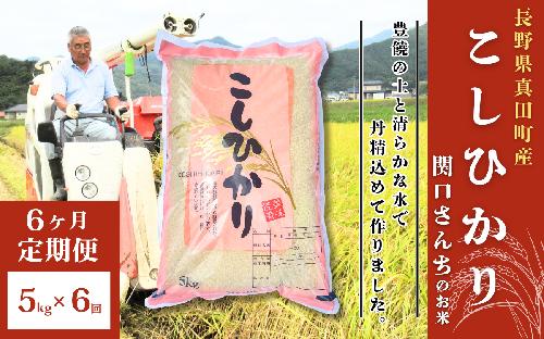 米 令和7年産 定期便 6ヵ月 コシヒカリ 関口さんちのお米 5kg お米 白米 ブランド米 定期 6回