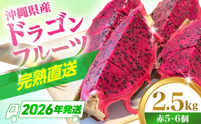 
                  ドラゴンフルーツ 2.5kg 【2026年発送】 タカエス フルーツ＆ベジタブル [BCBH002] フルーツ ふるーつ Fruit 赤 果肉 レッド ピタヤ トロピカルフルーツ 樹上完熟ドラゴンフルーツ トロピカル くだもの 青果 果実 国産 産地直送 産直 沖縄県産 農家直送 南国 果物 火龍果 果物 フルーツ デザート お取り寄せ 期間限定 沖縄県 沖縄市
                