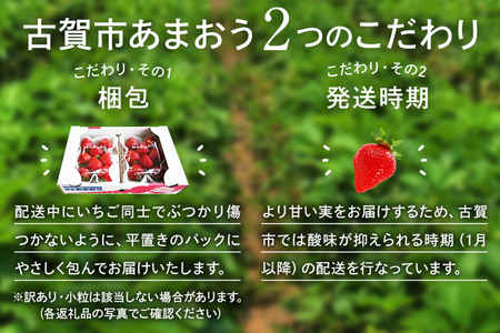 【2024年2月～3月順次発送予定】 あまおう 合計約1,120g 約280g×4パック 