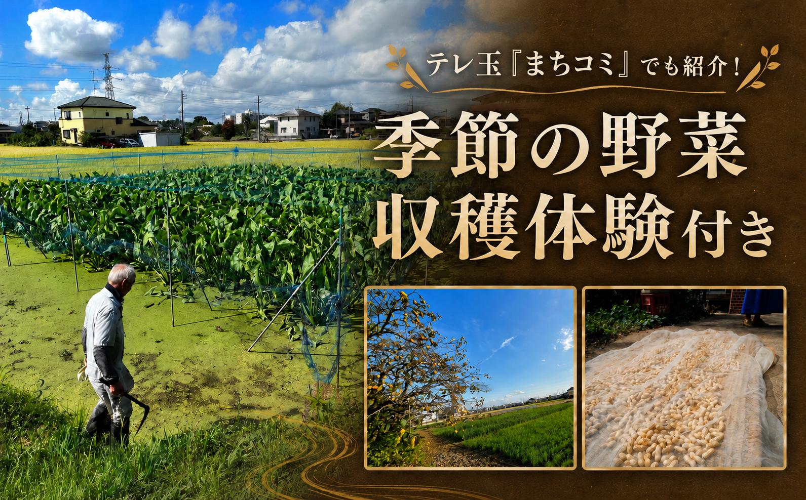 宿泊者は、その季節にあった農業体験ができます。