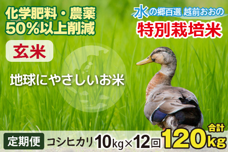 【令和7年産】【12ヶ月定期便】こしひかり 10kg × 12回 計 120kg【玄米】減農薬・減化学肥料 「特別栽培米」－地球にやさしいお米－[L-003001]