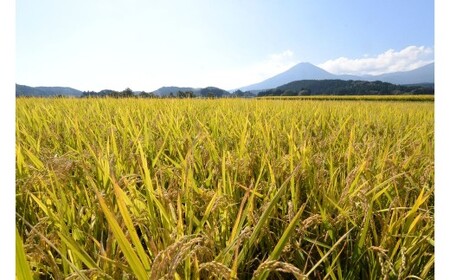 【新米 令和7年産】無洗米ヒノヒカリ 20kg（5kg×4袋 国産 米 新米 無洗米 お米 精米 令和7年新米 小分け 数量限定）