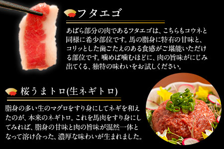 贅沢バラエティセット 540g 千興ファーム 馬肉 冷凍 《60日以内に出荷予定(土日祝除く)》 新鮮 さばきたて 生食用 肉 熊本県御船町 馬刺し 馬肉 惣菜 希少部位