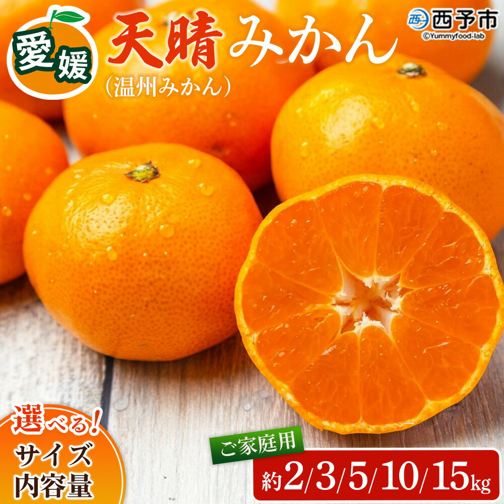 【ふるさと納税】先行予約＜天晴みかん（温州みかん）約2kg／3kg／5kg／10kg／15kg・小玉サイズ/S〜L混合＞ 家庭用 訳あり 明浜産 選べる 果物 くだもの フルーツ ミカン 柑橘 特産品 笑丸 愛媛県 西予市【常温】『2026年11月中旬〜2027年1月上旬迄に順次出荷』