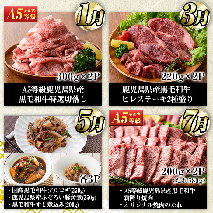 No.1246 ＜定期便・全6回(奇数月)＞お楽しみ！大人気の返礼品定期便 お試しコース(総重量5kg以上・ステーキ、霜降り焼肉、ローストビーフ等) 牛肉 黒毛和牛 定期便 ギフト 贈答【カミチク】