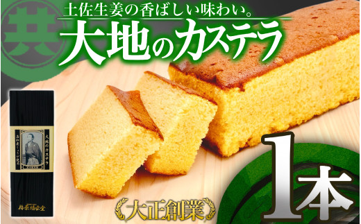 大地のカステラ スイーツ デザート 焼き菓子 ケーキ 醤油 しょうゆ 高知県 須崎市 MK025 【老舗】 大地のカステラ