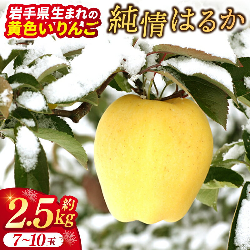 【ふるさと納税】★先行予約 数量限定★ りんご はるか 「純情はるか」約2.5kg 岩手県産 りんご リンゴ 林檎 純情 はるか フルーツ くだもの 果物 【冬恋研究会】 (AI014)