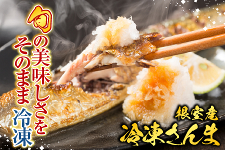 【北海道根室産】冷凍さんま5尾×12P(計60尾) D-76001