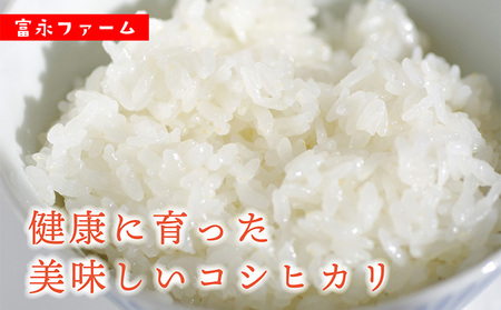 富永ファーム【お米定期便/全6回】魚沼産コシヒカリ（精米）5kg 白米 ご飯 ブランド米 銘柄米 精米したて 新潟県産 直送 主食 炭水化物 複数回 半年 お届け 