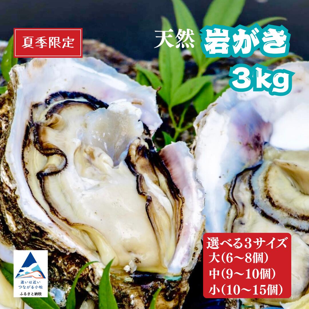 【ふるさと納税】 安宅産 天然 岩がき 3kg 選べる 3サイズ 小 (10～15個） / 中 （9～10個) / 大 (6～8個) カキ かき 天然 岩ガキ 岩牡蠣 岩がき 小松市 石川県 【石川県漁業協同組合小松支所】夏季限定！
