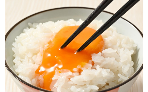 【12ヶ月定期便】料理人も「うまい！」と絶賛 昔の味たまご 20個入り（18個＋割れ補償2個）×12か月| 卵 鶏卵 玉子 たまご 生卵 国産 濃厚 コク 卵かけご飯 旨味 旨み※着日指定不可