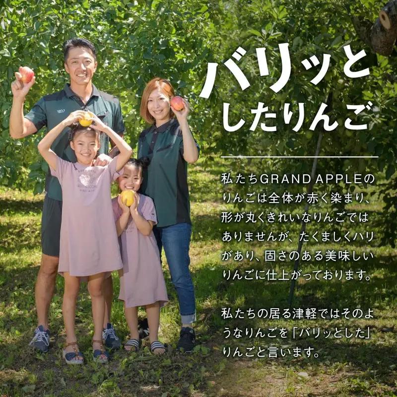 【先行予約】 ≪訳あり≫ 葉とらず 王林 約4kg (10～20個) 【グランドアップル】 F41-0026