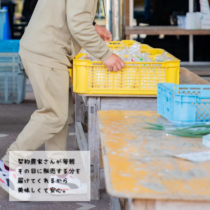旬の野菜と果物セット：B165-002_イメージ4