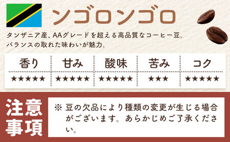 自家焙煎スペシャルティ 珈琲 ドリップバッグ 3種 セット 1箱:ドリップバッグ5個入り AyaHaruCoffee《90日以内に出荷予定(土日祝除く)》【配送不可地域：離島】|ドリップコーヒー ドリ