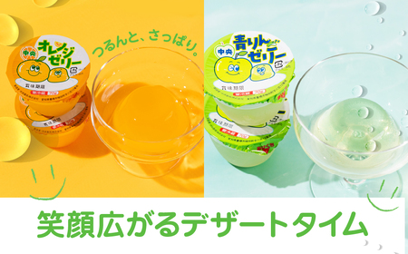 中央製乳 中央オレンジゼリー3p 12個セット おやつ デザート おれんじ 国内製造 果汁 ロングセラー 愛知県 豊橋市