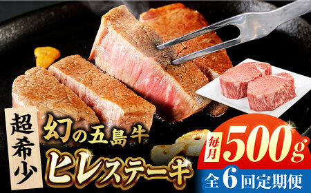 【6回定期便】五島牛 ヒレ 250g×2枚 五島市/ごとう農業協同組合[PAF098]