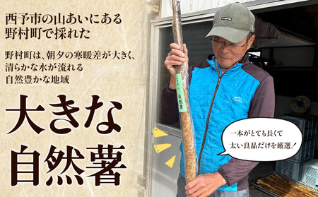 ＜自然薯 約1kg＞ 野菜 やさい 山芋 長芋 いも とろろ じねんじょ 国産 愛媛県産 とろろご飯 とろろ汁 料理 ノムランド 愛媛県 西予市【常温】『2026年1月中旬～3月末迄に順次出荷予定』N