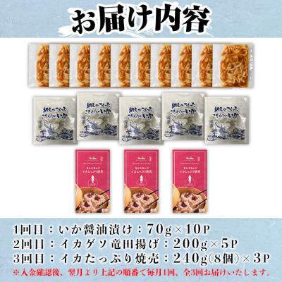 ふるさと納税 境港市 <定期便3ヶ月>いか屋が作ったこだわりのいか三昧 |  | 03