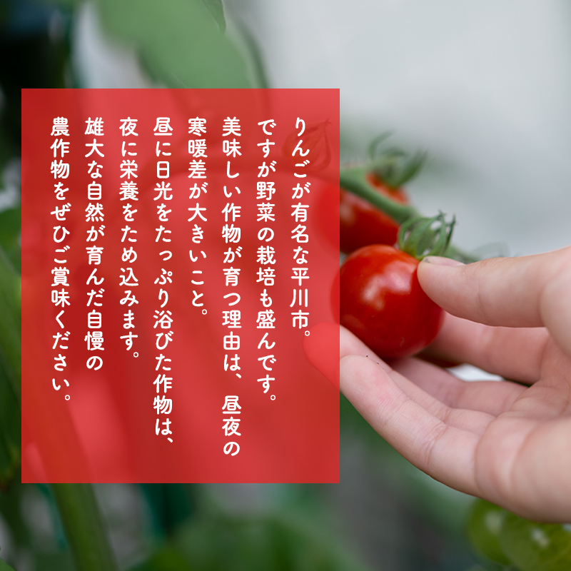 yucarifarmの無添加ミニトマトジュース 1L×6本　【青森県平川市産】
