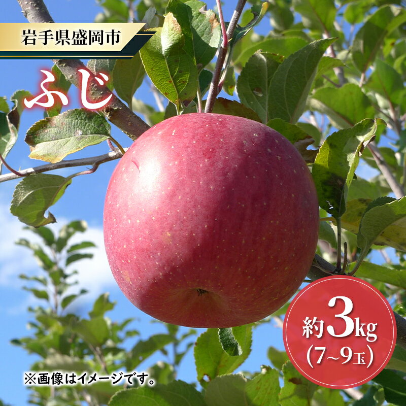 【ふるさと納税】【大櫻農園】ふじ 盛岡 完熟 りんご 約3kg（7～9玉）　お届け：2025年11月中旬～2025年12月下旬