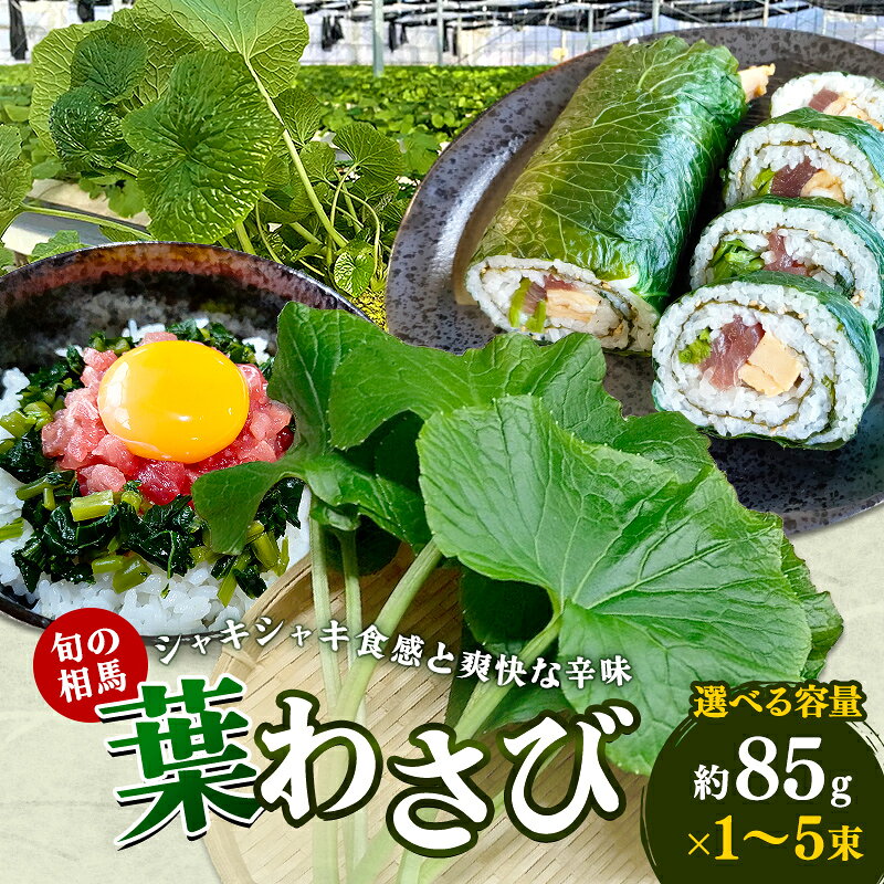 【ふるさと納税】葉わさび 85g×1~5袋 旬の相馬 選べる容量 FAI-0109var