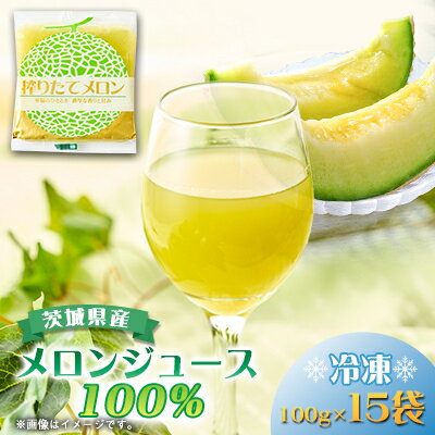 【ふるさと納税】ベルファームの冷凍メロンジュース 茨城県産メロン100% 100g×15袋 【離島・沖縄配送不可】【配送不可地域：離島・沖縄県】【1443649】