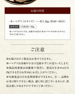 111-2　KKN水産　天然!! 有明海産の本ハマグリ（小　約1.2kg）