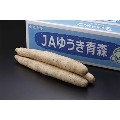 ふるさと納税 東北町 青森県特産ながいも　A2L(12本入)約10kg