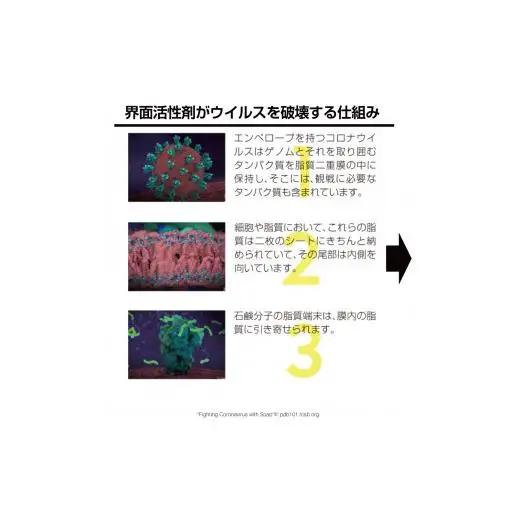 除菌剤 濃縮液 500mL 陰イオン性界面活性剤2% コロナ対策 ウイルス 消毒 除菌 陰イオン界面活性剤