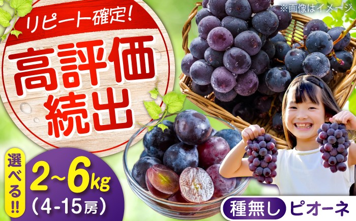 
                  【選べる容量】【期間限定/8月下旬〜9月上旬頃発送 】 沼隈ぶどう「 ピオーネ 」 約2kg  約4kg  約6kg （ 種なし ） 広島県福山市/福山市農業協同組合 沼隈グリーンセンター ぶどう ブドウ 葡萄 種なし 大粒 ピオーネ フルーツ 果物 くだもの 広島 福山  [BAEV002]
                