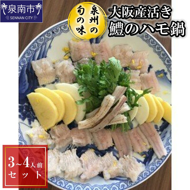 【ふるさと納税】【泉州の旬の味】大阪産活き鱧のハモ鍋（3～4人前）セット【配送不可地域：北海道・沖縄・離島】