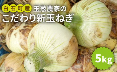 【先行予約】【農家直送！】玉葱農家のこだわり 新玉ねぎ 約5kg【玉葱農家 陣内ちひろ】たまねぎ 玉葱 タマネギ 玉ネギ オニオン [IAO009]