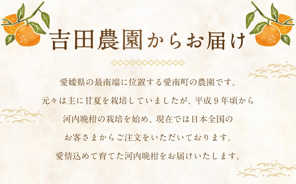 贈答用 河内晩柑 5kg