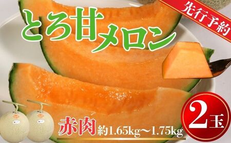 赤肉とろ甘メロン 2玉 【先行予約7月上旬～発送】 メロン