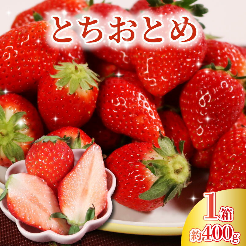 【ふるさと納税】 先行予約 いちご とちおとめ 1箱（約400g） 林いちご園 銚子産 苺 いちご イチゴ ビタミンC 葉酸 食物繊維 デザート ミルフィーユ フルーツ ヨーグルト スムージー 朝摘み 朝採れ 新鮮 千葉県 銚子市 いちご大福 苺大福 フルーツサンド ショートケーキ