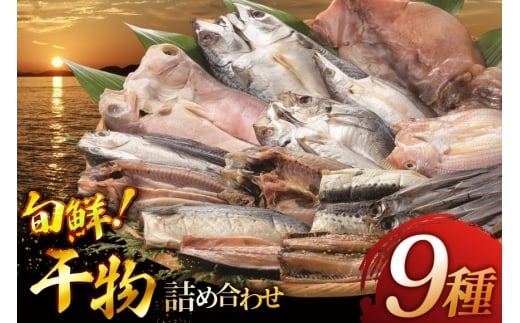 魚 惣菜 平戸 干物 詰め合わせ 9種 [森崎水産 長崎県 平戸市 hr42bgy410125] さかな 加工品 ひもの つめあわせ 豪華 旬魚 お惣菜