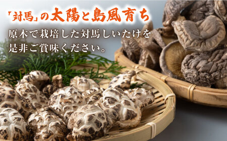対馬 しいたけ セット 椎茸 きのこ 離島 国産 乾燥茸 乾燥しいたけ  [WBM004]