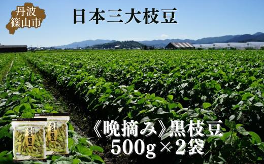 秋の味覚「丹波黒枝豆」  濃厚なコク・500g×2袋　晩摘み 【2026年10月22日頃～11月上旬頃発送予定】　プレミアム枝豆 期間限定 黒枝豆 えだまめ エダマメ お取り寄せグルメ 高級 特産品 名産品 おつまみ おうち居酒屋
