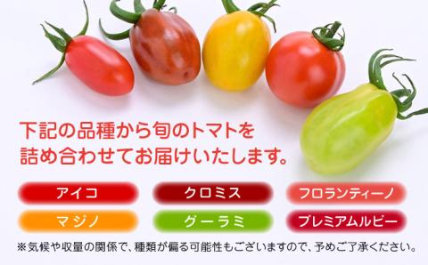 【先行予約】【期間限定】熊本県産 減農薬栽培 トマト ミディトマト 詰め合わせ 800g 食べ比べ ギフトセット 産地直送【矢仁田農園】[YDE002]