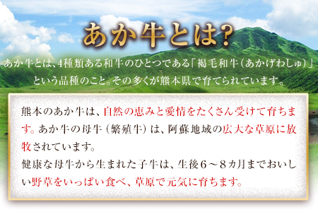 熊本の和牛 熊本県産あか牛ローストビーフ 1kg 500g×2個《30日以内に出荷予定(土日祝除く)》熊本県産 熊本 国産牛 ローストビーフ丼 牛肉 サンドイッチ 牛肉 国産牛 あか牛 ローストビーフ
