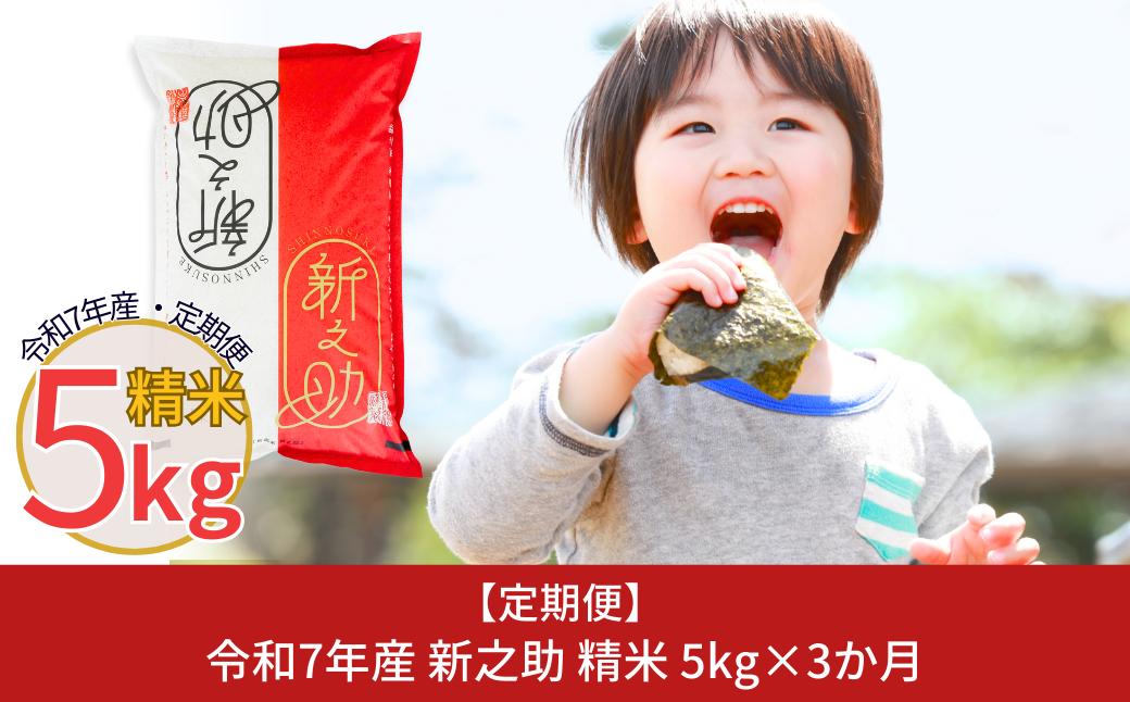 
            [定期便5kg×3か月] 新潟県産 新之助 計15kg 3か月連続でお届け 令和7年産 しんのすけ [株式会社白熊]【030S045】
          