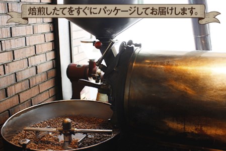 《プランタン珈琲商会 自家焙煎レギュラーコーヒー》プランタンブレンド 300g×2袋入り (中挽き) 当社で焙煎仕立てのコーヒー豆をお届け！ [1627]