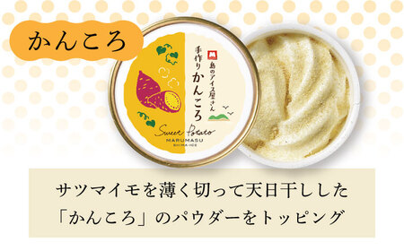 アイス3種 計12個 アイス スイーツ バニラ 抹茶 かんころ 塩 椿油 [RAX001] アイス アイス アイス アイス アイス九州 長崎 スピード発送 最短発送