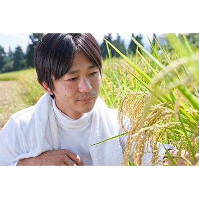 ふるさと納税 魚沼市 【毎月定期便】ツバメの飛び交う棚田米 精米5kg全3回 |  | 01
